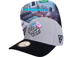 Capiche® Baseball Pet Heren – Brainwashed – Grijs & Zwart – Verstelbaar met Druksluiting – Sportcap – Curved Pet – Gehersenspoelde Pet