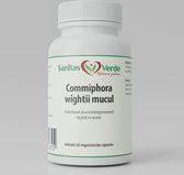 Commiphora Wightii mucul extract