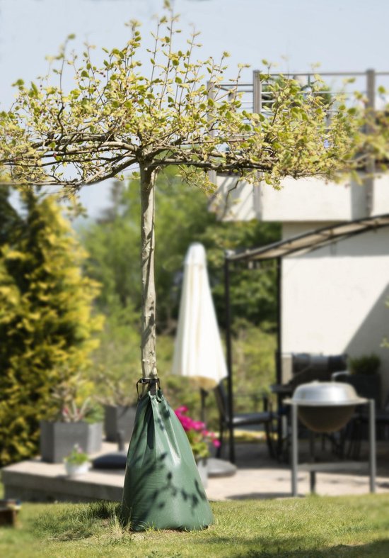 Bewateringsring 60cm met Waterzak | Automatisch Systeem voor Bomen & Planten | 30 Dagen Vochtopslag (Binnen/Buiten) | Regenwater Vul Boomzak (1, 60cm