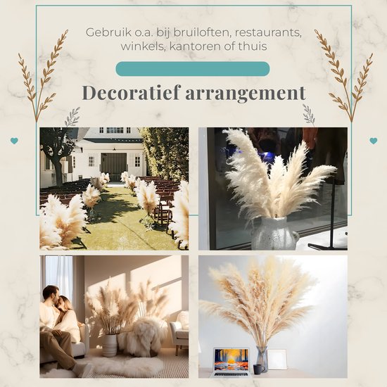 Sunny Tree - Pampas Pluimen - 5 Stuks 105 cm - Droogbloemen - Pampasgras Pluimen - Decoratie Woonkamer - Decoratieve Accessoires
