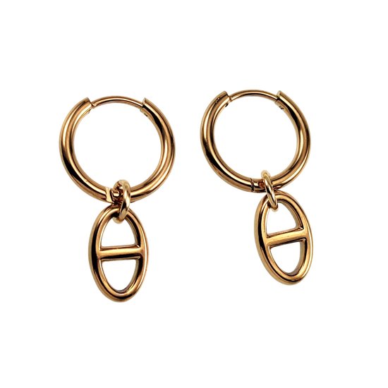 3 (oorbellen) op een rij - Juwelier van der Kooij