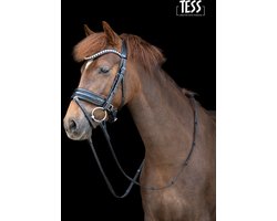 Tess Hoofdstel standaard Pony zwart