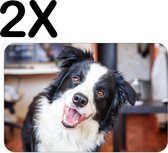 BWK Stevige Placemat - Vrolijke Bordecollie - Hond - Set van 2 Placemats - 45x30 cm - 1 mm dik Polystyreen - Afneembaar