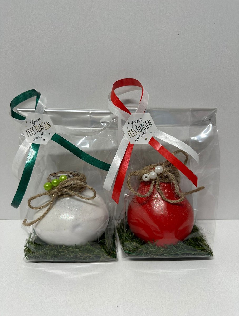 Wax Amaryllis Duo Rood en Wit in leuke geschenkverpakking - relatiegeschenk