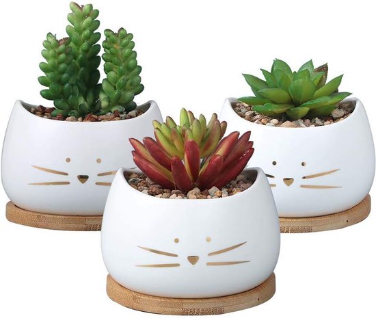 Set van 3 kleine bloempotten witte kat keramische bloempotten + 3 houten potten | Ideale Cactus Op Het Bureau | Buiten, binnen raamrand | Decoratie | Verjaardagscadeau | Bonsai schaal