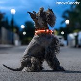 LED-HALSBAND VOOR HUISDIEREN PETLUX - Halsband hond - Halsband lichtgevend hond - Hondenhalsband