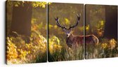 Artaza Peinture sur Toile Triptyque Cerf dans les Forêts - 180x80 - Groot - Photo sur Toile - Impression sur Toile