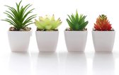 Kunstmatige vetplant, namaakplant, potplant, mini-vierkant, wit, bloempot, kamer, familie, tuin, interieur, decoratie, groen