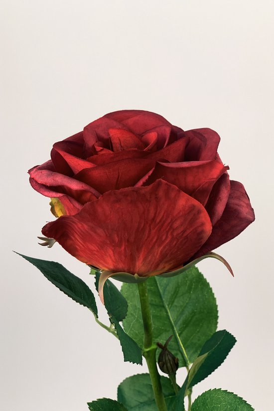 Zijden kunstbloem Roos | Rood | Lengte 68 centimeter
