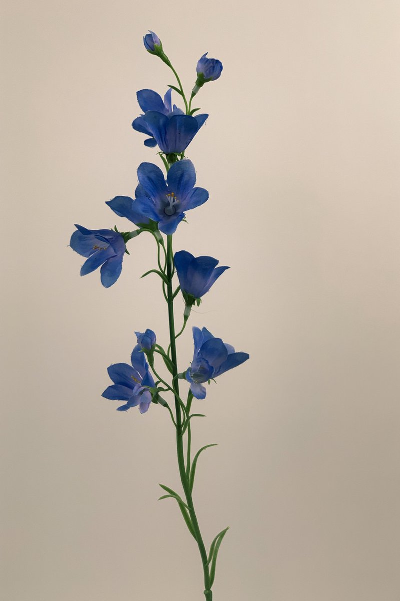 Myflowers b.v. Zijden kunstbloem Campanula Blauw Lengte 66 centimeter