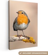 OneMillionCanvasses - Toile - Peinture - Rouge-gorge - Vogel - Branches - Animal - Photo sur toile - Chambre à coucher - 40x60 cm - Toile canvas
