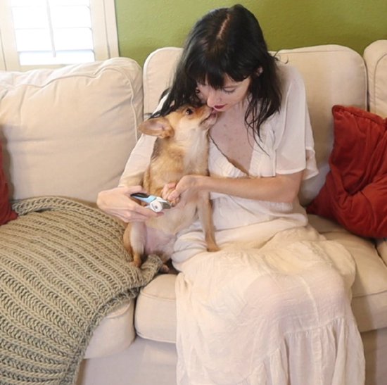 Femme tenant un petit chien et lui coupant les griffes avec une pince à ongles Furtastic.