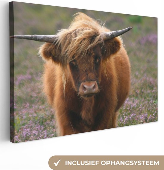 Tableau sur toile Highlander écossais - Bruyère - Animaux - 90x60 cm - Décoration murale