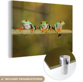 MuchoWow® Peinture sur verre 90x60 cm - Peinture acrylique sur verre - Grenouilles - Branche - Photo sur verre - Peintures