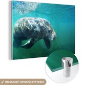 Peinture sur verre MuchoWow® - Les rayons du soleil tombent le long du dugong - 120x80 cm - Peintures sur verre acrylique - Photo sur Glas