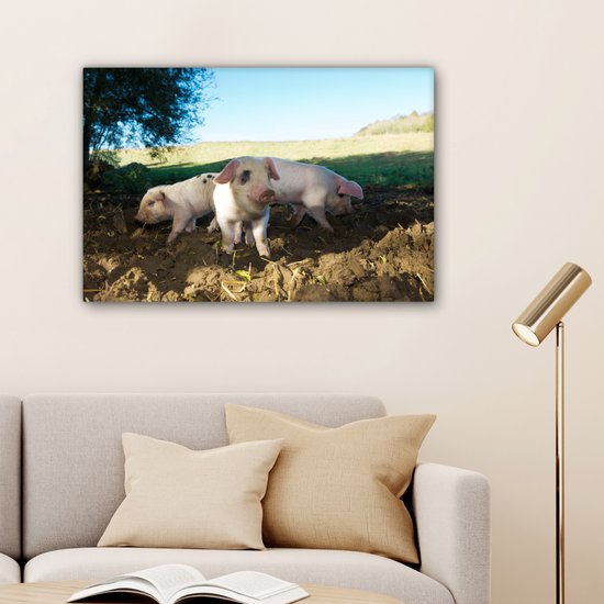 Toile Peinture Cochons - Animaux - Paysage - 60x40 cm - Décoration murale