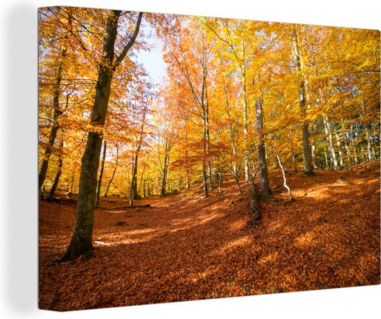 Canvas schilderij 180x120 cm - Wanddecoratie Beukenbos met herfstachtige kleuren - Muurdecoratie woonkamer - Slaapkamer decoratie - Kamer accessoires - Schilderijen