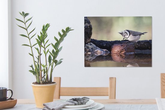 Canvas Schilderij Een Kuifmees zit op een boomstam - 40x30 cm - Wanddecoratie