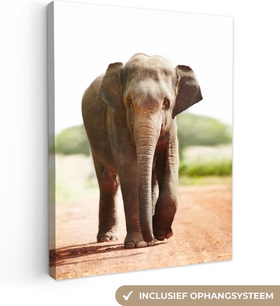 Marche éléphant sur toile 20x30 cm - petit - Tirage photo sur toile (Décoration murale salon / chambre) / Peintures sur toile Animaux