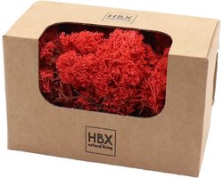 HBX Natural Living Decoratie mos - 2x - rood - 100 gram - rendiermos - hobby
