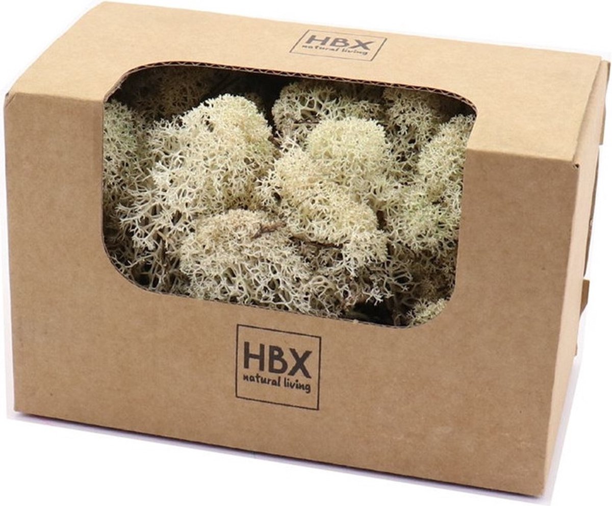 HBX Natural Living Decoratie mos - wit/naturel - 50 gram - rendiermos - hobby