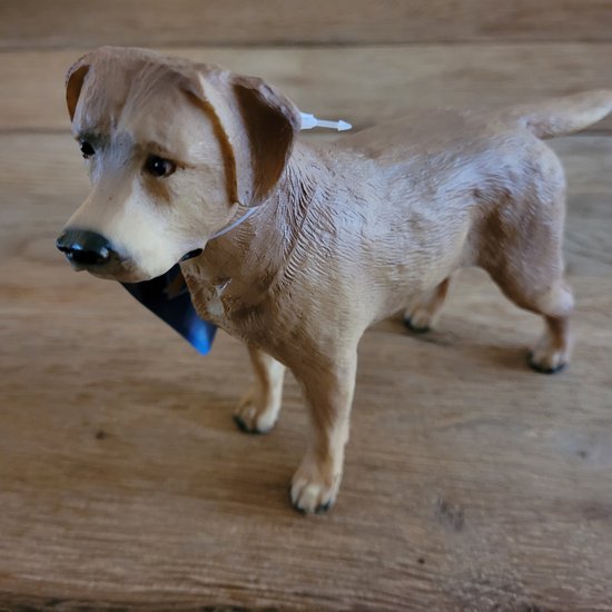 decoratief beeld/ figuur Labrador