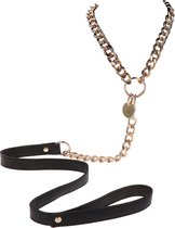 Statement Collar