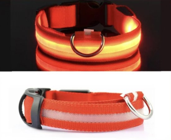 BORDEAG 4 Stuks Led-Lichthalsband Voor Honden, Oplaadbaar, Hondenhalsband, Oplichtend, Waterdicht, 3 Verlichtingsmodi, Led-Halsband Voor Honden, Instellbare Lengte 70 Cm, Rood, Geel, Groen, Blauw