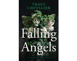 Omslag van Falling Angels