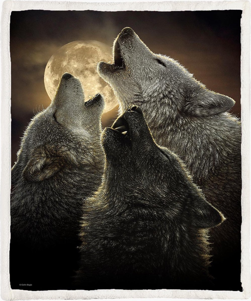 The Coloured House Wolven Fleece Deken 150*200cm Wolf Trinity Multicolor
