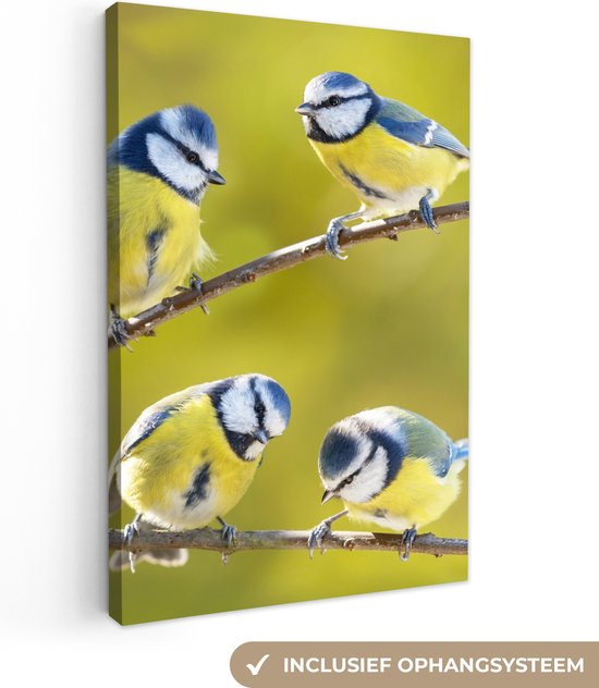 Canvas - Schilderij vogels - Vogel - Pimpelmees - Takken - Zon - Schilderijen op canvas - Canvas doek - 60x90 cm - Muurdecoratie - Interieur
