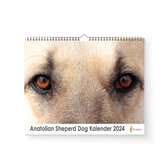 XL 2024 Kalender - Jaarkalender - Anatolian Sheperd Dog