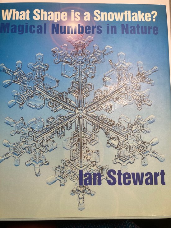What Shape is a Snowflake? - cover