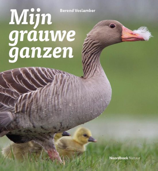 Mijn grauwe ganzen - cover