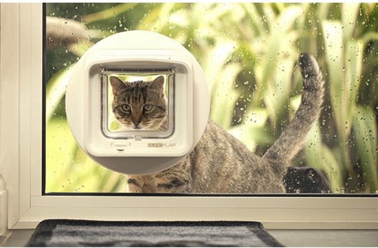 Kattenluik met een cyperse kat die naar buiten kijkt vanuit een raam met regen.