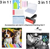Diamond Painting Accessoires Set Met 2x Diamond Painting Set - 2 x Diamond Painting Set Hond/Kat En Poes/Vlinder