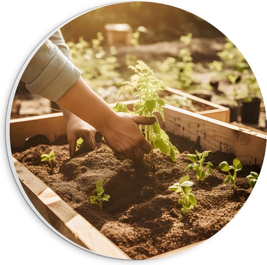 PVC Schuimplaat Muurcirkel - Tuin - Plantjes - Bakken - Zand - Zon - 20x20 cm Foto op Muurcirkel (met ophangsysteem)