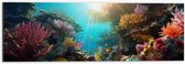 Dibond - Onderwater - Oceaan - Zee - Koraal - Vissen - Kleuren - Zon - 60x20 cm Foto op Aluminium (Wanddecoratie van metaal)