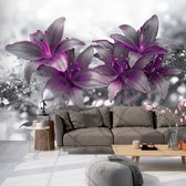 Fotobehangkoning - Behang - Vliesbehang - Fotobehang - Secret of the Lily - Luxe - Bloemen - Lelies - Lelie - 400 x 280 cm