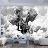 Fotobehangkoning - Behang - Vliesbehang - Fotobehang Olifant in de Wolken - 150 x 105 cm