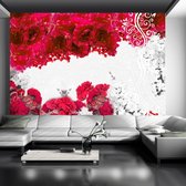 Fotobehangkoning - Behang - Vliesbehang - Fotobehang Kleuren van de Lente - Rood - 400 x 280 cm