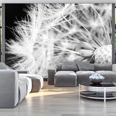 Fotobehangkoning - Behang - Vliesbehang - Fotobehang zwart-wit Paardenbloem - Black and white dandelion - 100 x 70 cm