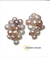 clips d'oreilles - or - 14 carats - perle d'eau douce - 14 carats - bijoutier verlinden