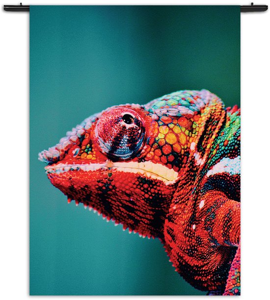 Mezo Wandkleed Kameleon Kleurrijk Rechthoek Verticaal S (85 X 60 CM) - Wandkleden - Met roedes