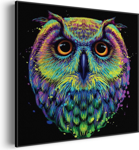 Akoestisch Schilderij Colored Owl 01 Vierkant Pro XXL (140 X 140 CM) - Akoestisch paneel - Akoestische Panelen - Akoestische wanddecoratie - Akoestisch wandpaneel