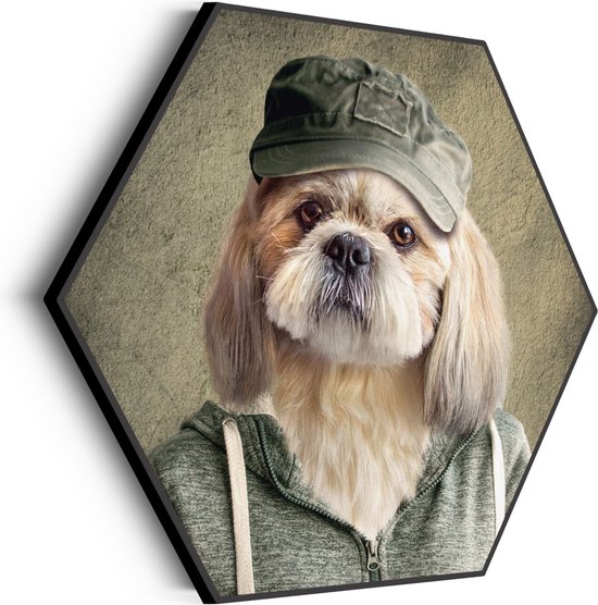 Akoestisch Schilderij Menselijke Hond Met Pet Hexagon Basic L (100 X 86 CM) - Akoestisch paneel - Akoestische Panelen - Akoestische wanddecoratie - Akoestisch wandpaneel