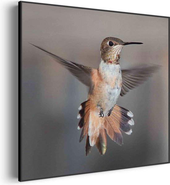 Akoestisch Schilderij De Vliegende Kolibrie Vogel Vierkant Pro M (65 X 65 CM) - Akoestisch paneel - Akoestische Panelen - Akoestische wanddecoratie - Akoestisch wandpaneel
