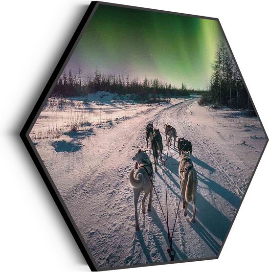 Akoestisch Schilderij Huskies door Lapland Hexagon Basic XL (140 X 121 CM) - Akoestisch paneel - Akoestische Panelen - Akoestische wanddecoratie - Akoestisch wandpaneel