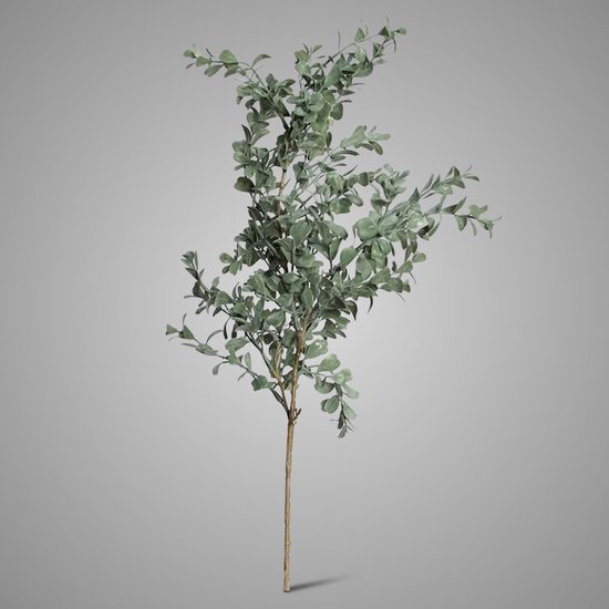 Brynxz | Zijde | Lonicera Bush | Buxus | 62cm