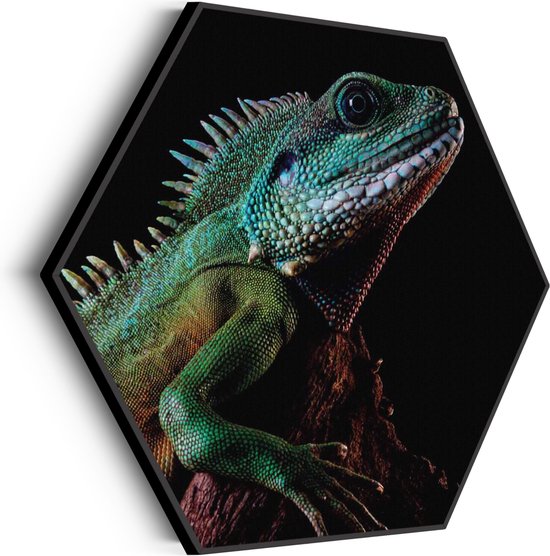 Akoestisch Schilderij De Groene Kameleon Hexagon Basic M (60 X 52 CM) - Akoestisch paneel - Akoestische Panelen - Akoestische wanddecoratie - Akoestisch wandpaneel